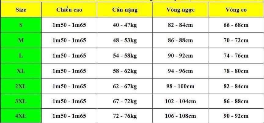 ÁO DÀI 3D MAY SẴN