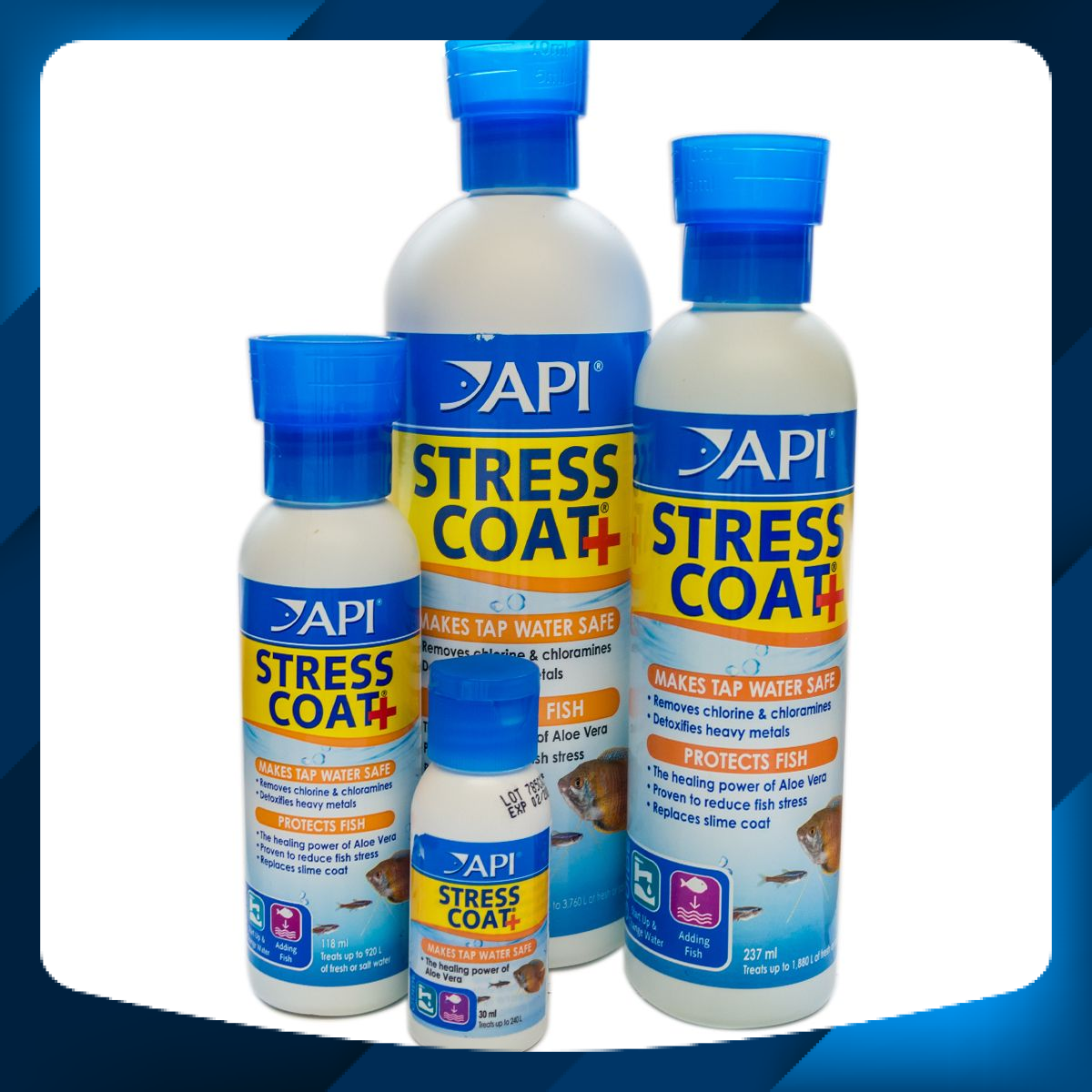 [Hoàn Tiền 10%]Api Stress Coat (118ml) Dành Cho Cá Cảnh