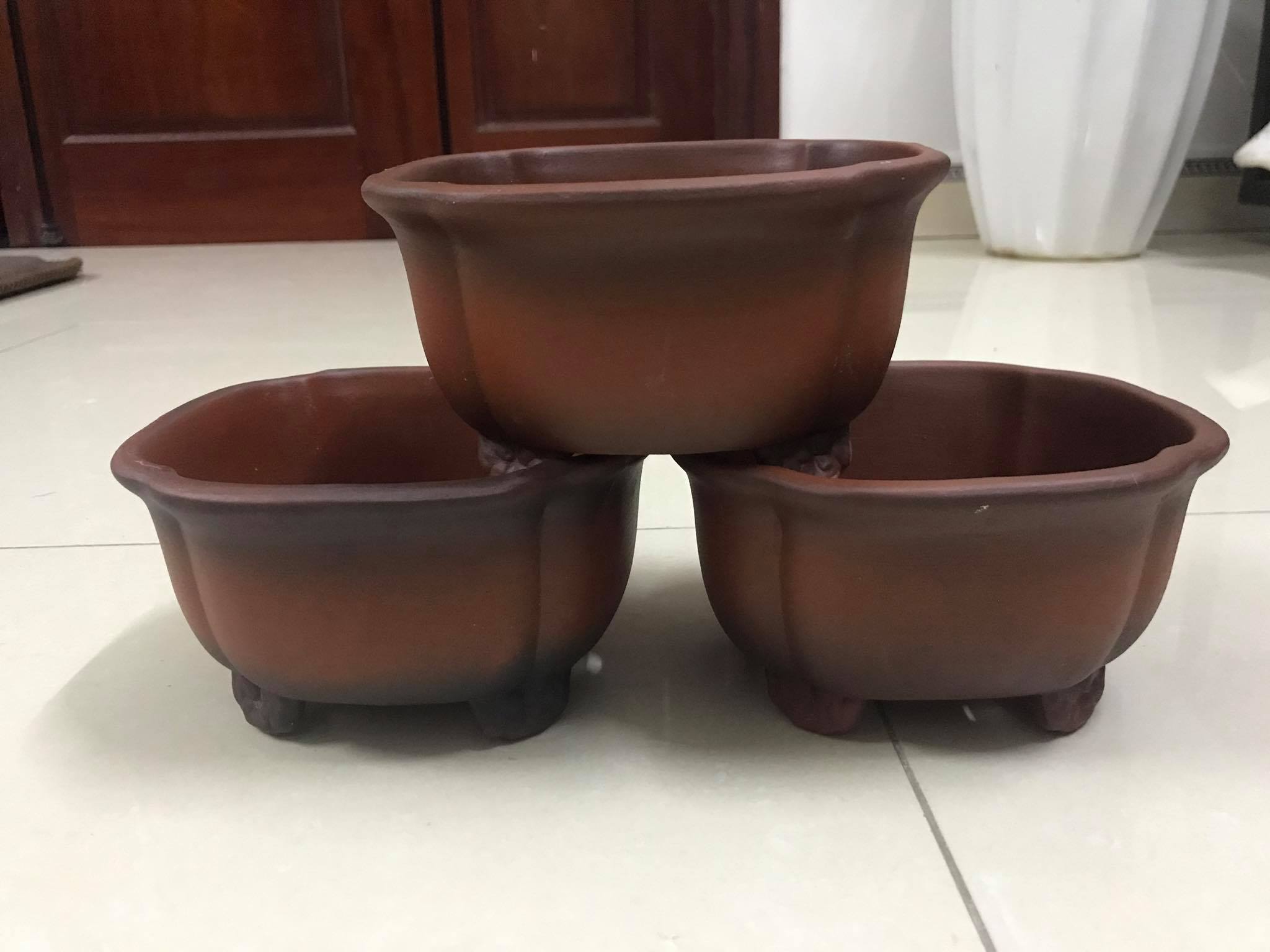 Chậu mini 01 - áng mây