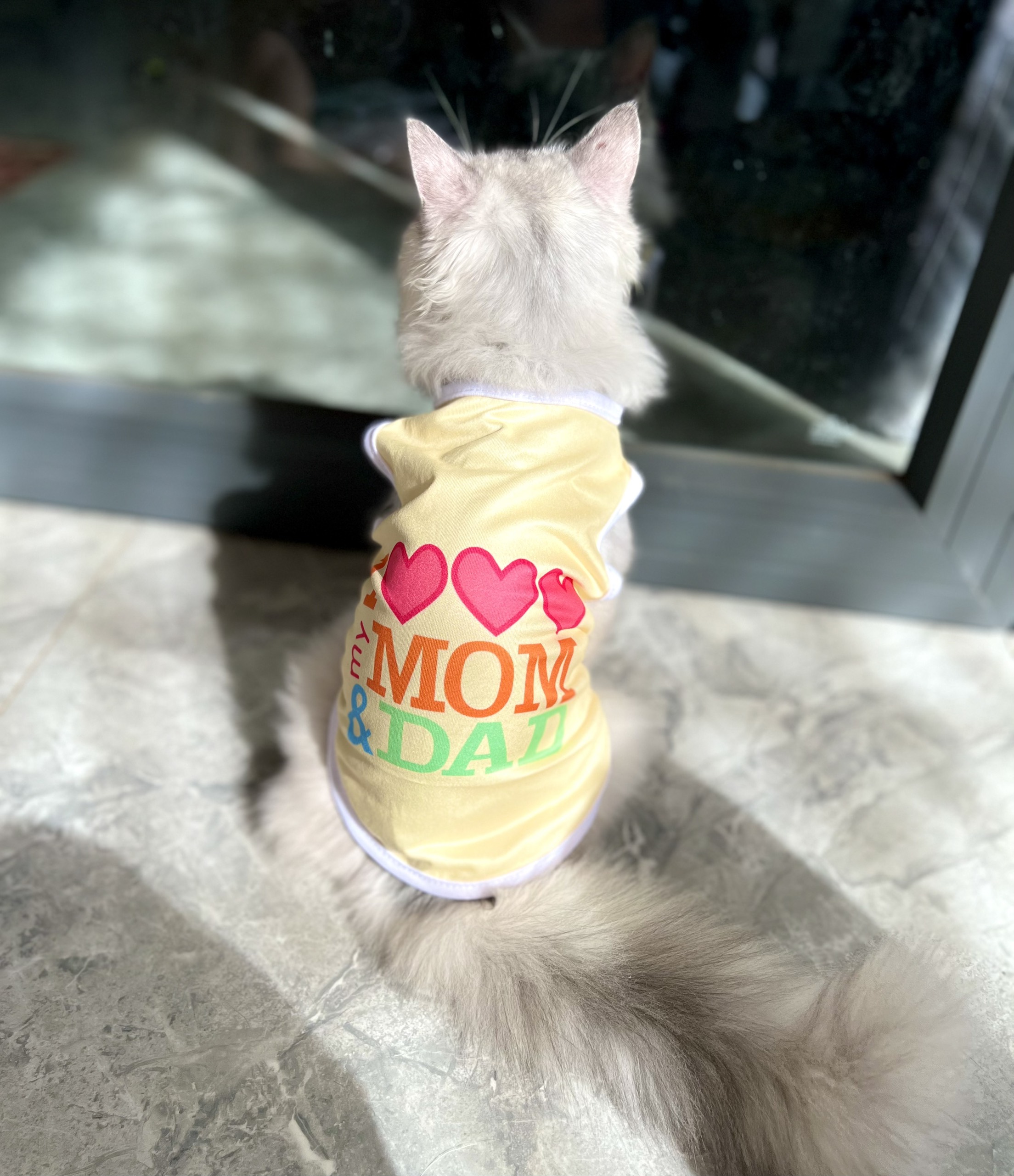 Áo Thun Cotton Sát Nách Cho Chó Mèo Dễ Thương