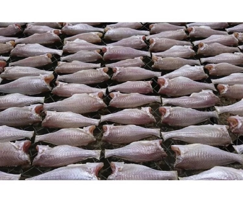 COMBO 5kg KHÔ CÁ ĐÙ SIZE NHỎ TỰ NHIÊN