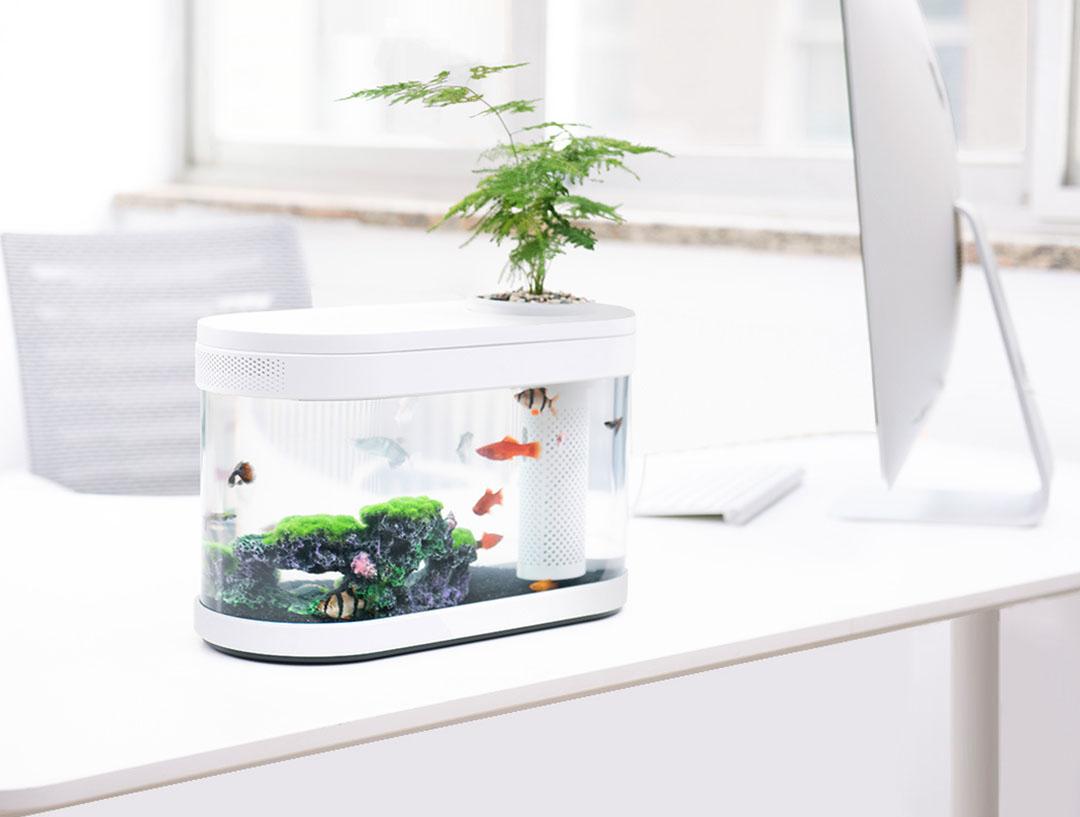 Bể cá thủy sinh mini Xiaomi