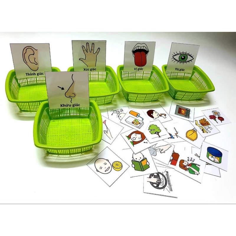 Học liệu 11 chủ đề Teacch
