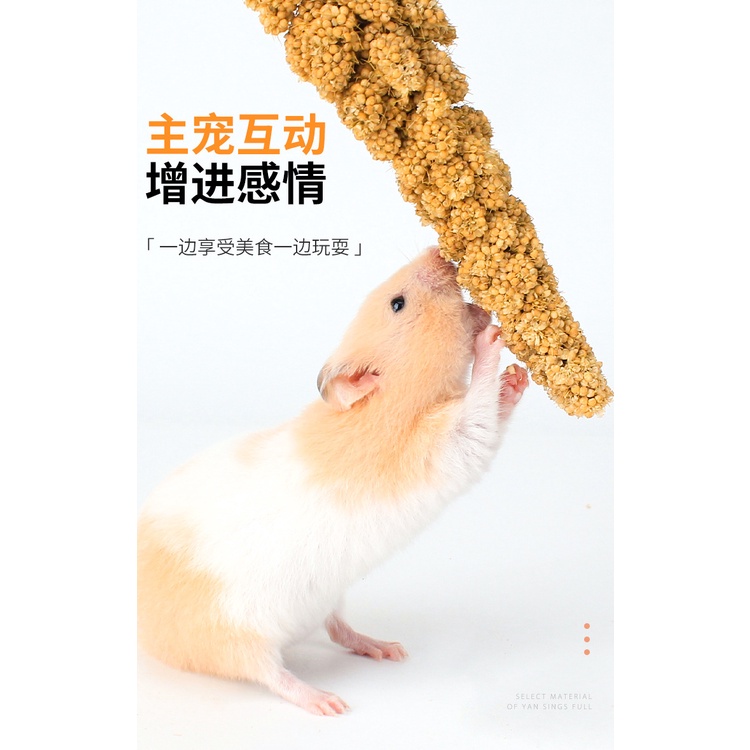 Kê chùm/ kê sợi cho hamster