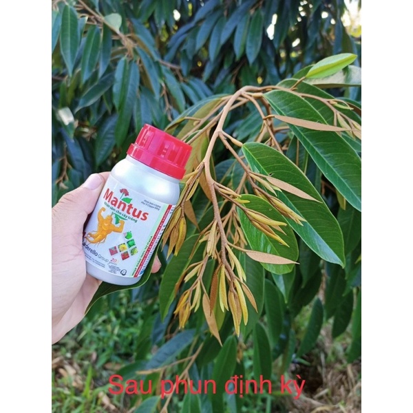 Phân bón vi lượng MANTUS 100ml ĐỒNG SINH HỌC