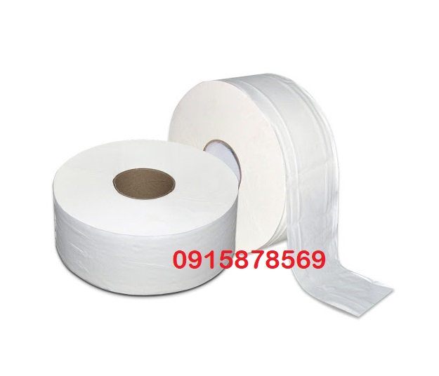 Giấy vệ sinh cuộn lớn 800g