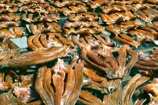 KHÔ CÁ LÓC 1KG cỡ lớn 2-3 con 1kg [cay nhạt khô 2 nắng vừa]