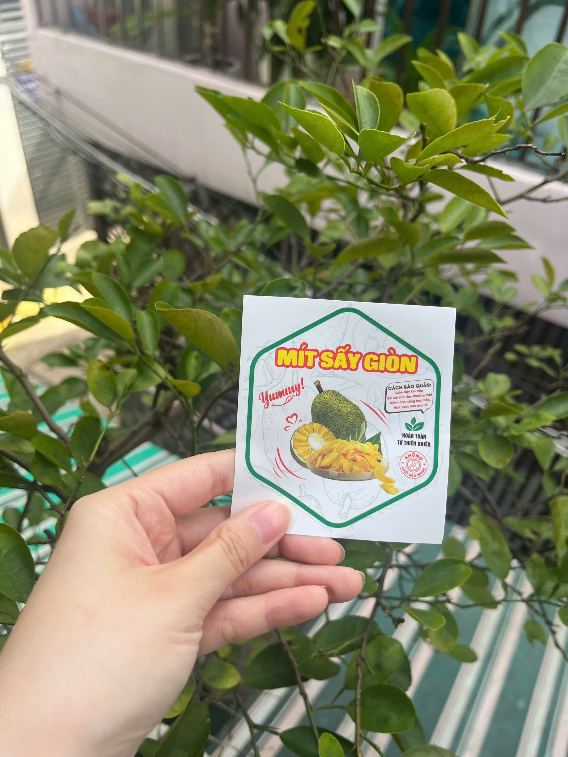 50 tem dán "Mít sấy giòn" - 7x9.6cm