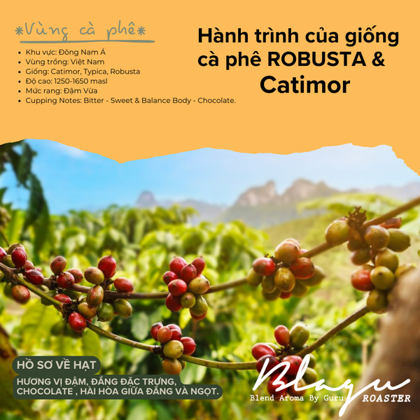 [Buy More, Save More] Blagu Coffee Beans, Roasted and Filtered in Vietnam - Medium Dark - 500g, 1kg
