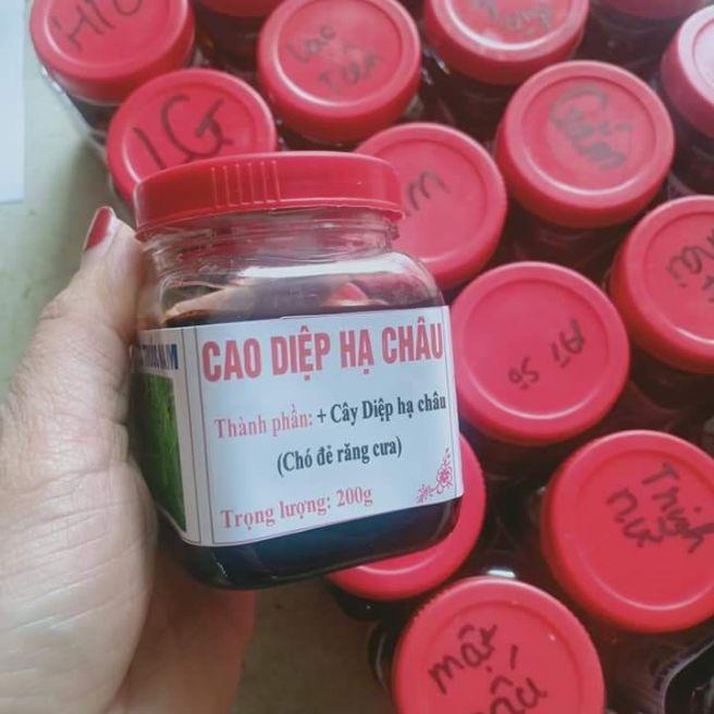 Hộp 200g cao diệp hạ châu chó đẻ răng cưa