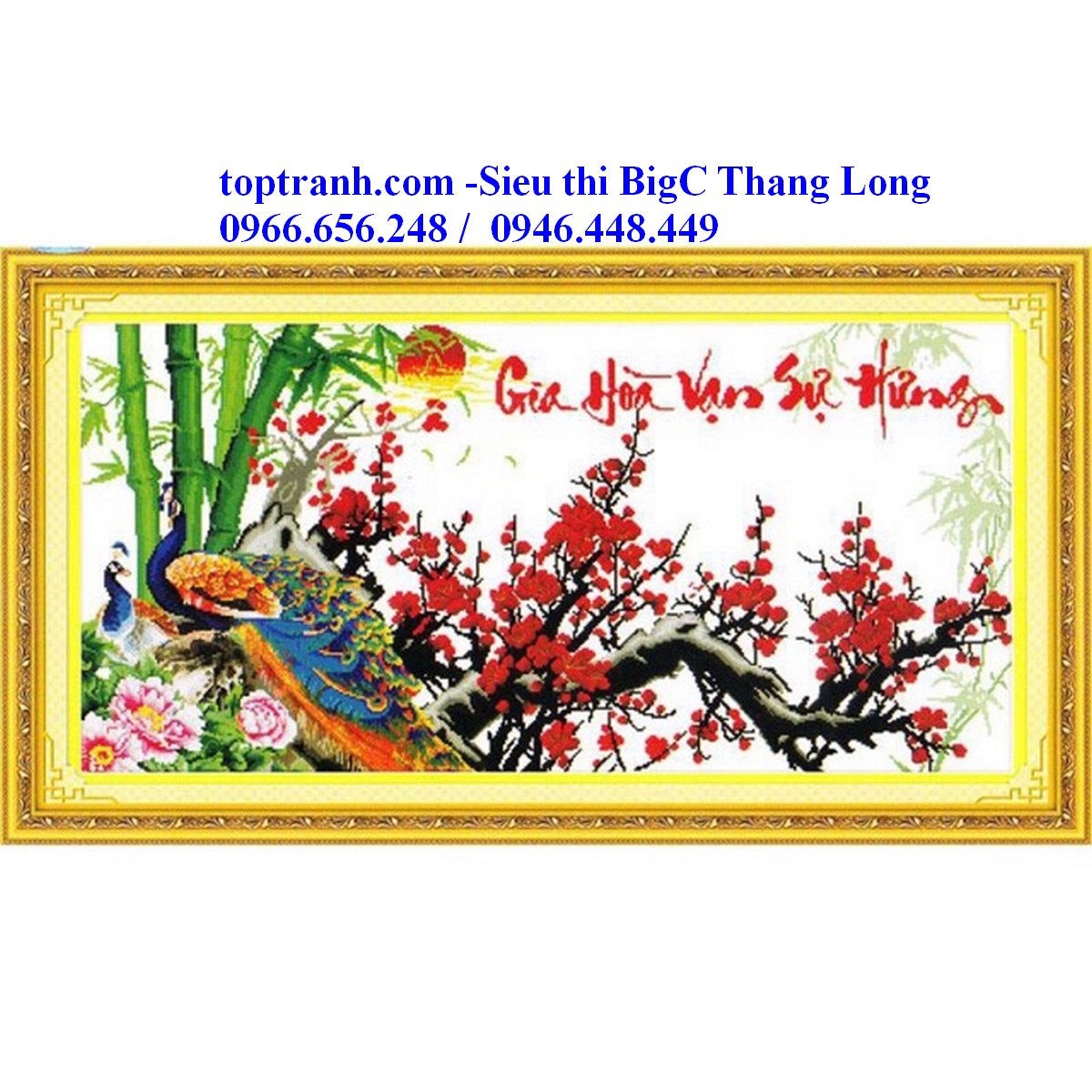 Tranh thêu chữ thập cành đào đỏ và con công Gia hòa vạn sự hưng 222900 chưa thêu
