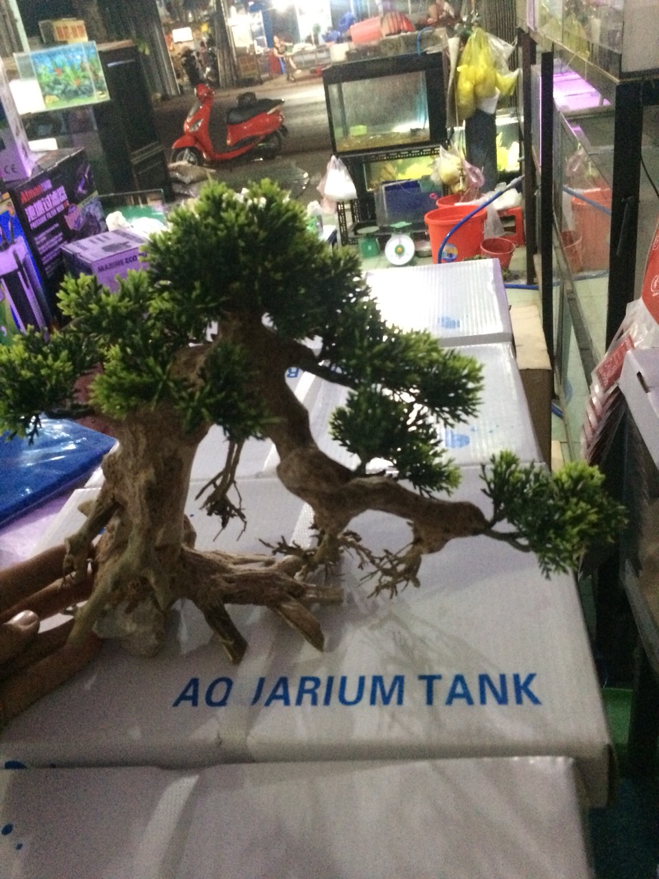Lũa Bonsai Mini Trang Trí Bể Cá - Bể Thủy Sinh (D:20cm C: 15cm)