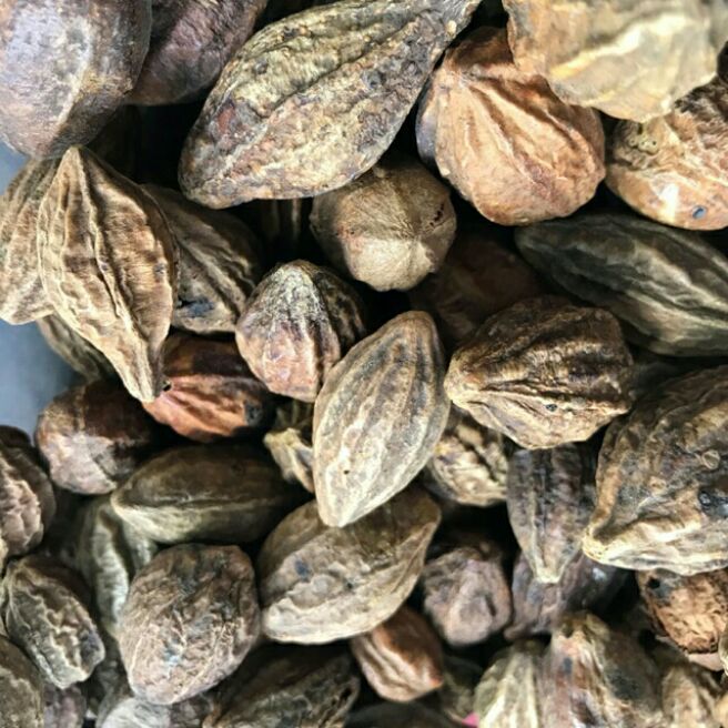 1kg kha tử
