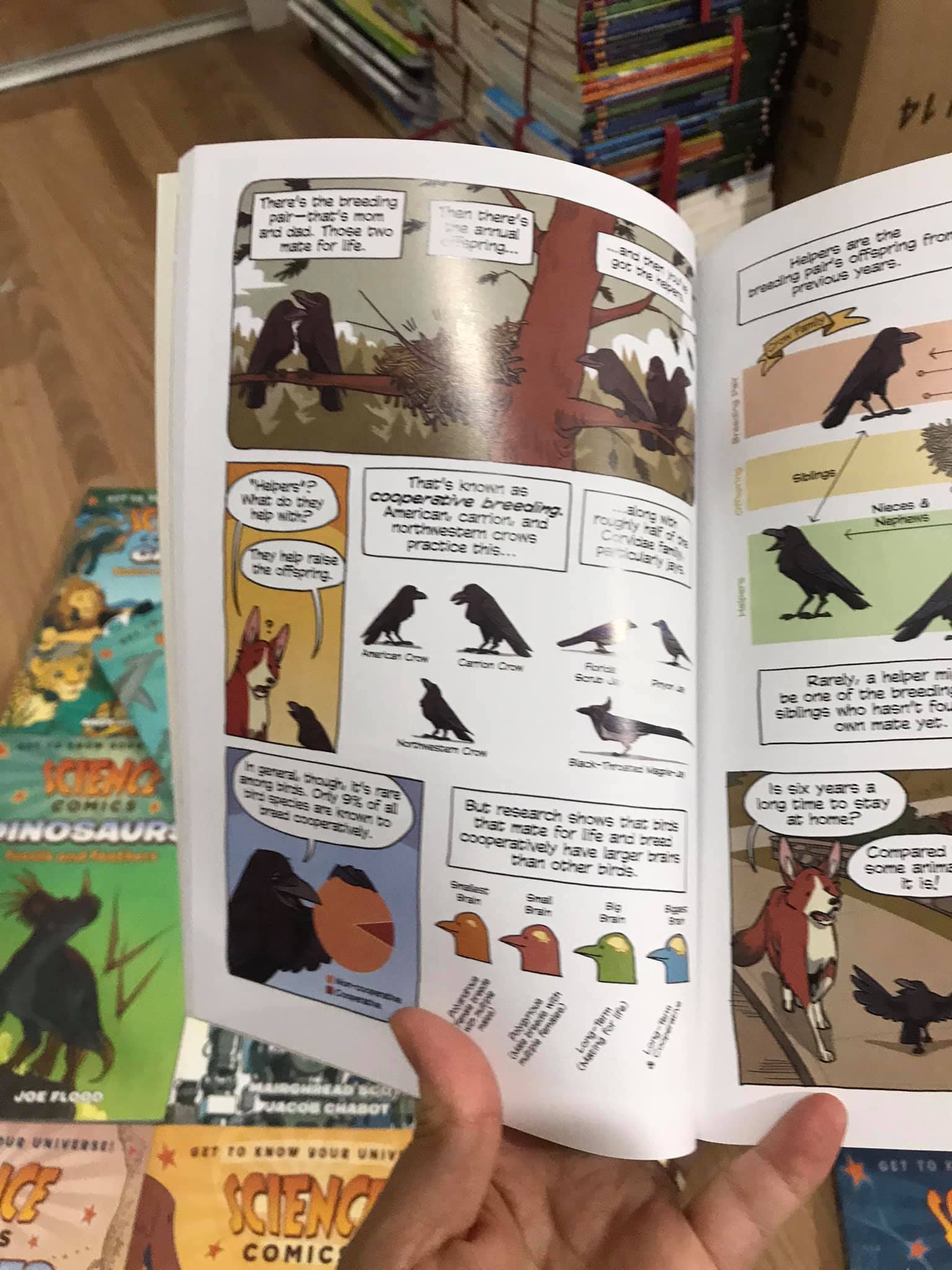 Bản nhập - Science Comics - Bộ full mới nhất 29c