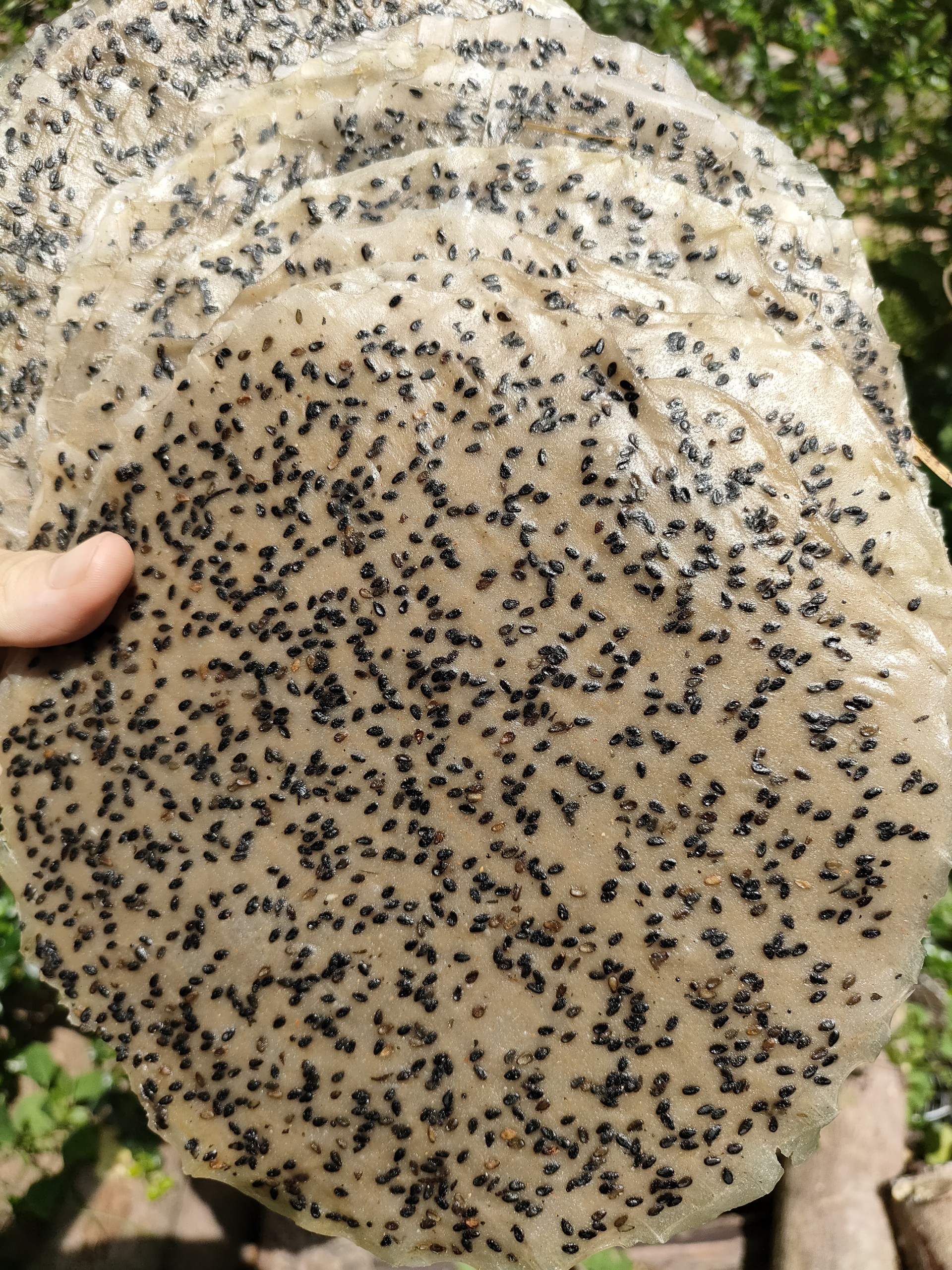 Xấp 20 cái bánh đa mè đen cốt dừa - siêu nhiều mè - chưa nướng