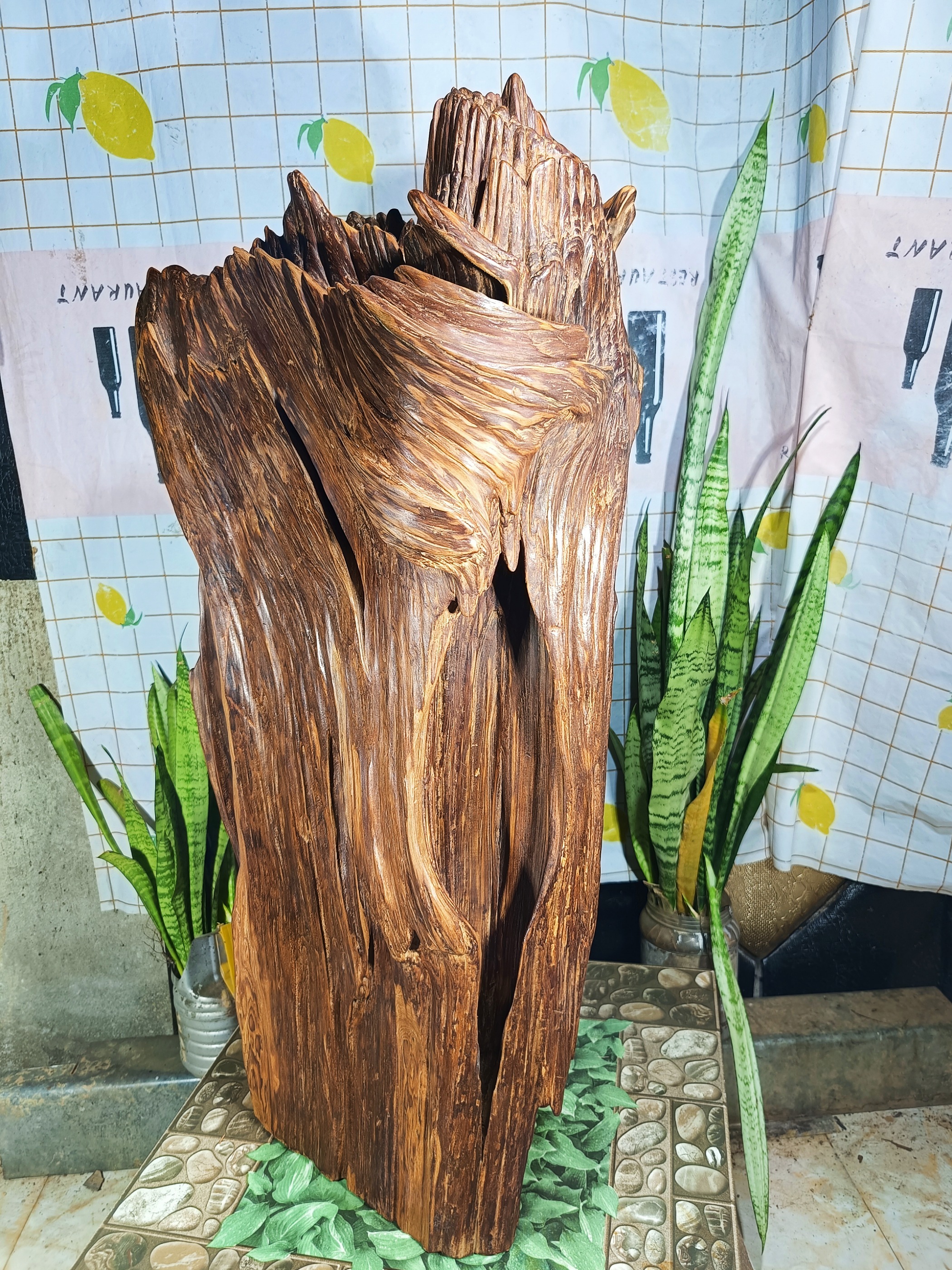 lũa gỗ thơm ngọc am đỏ hà giang
