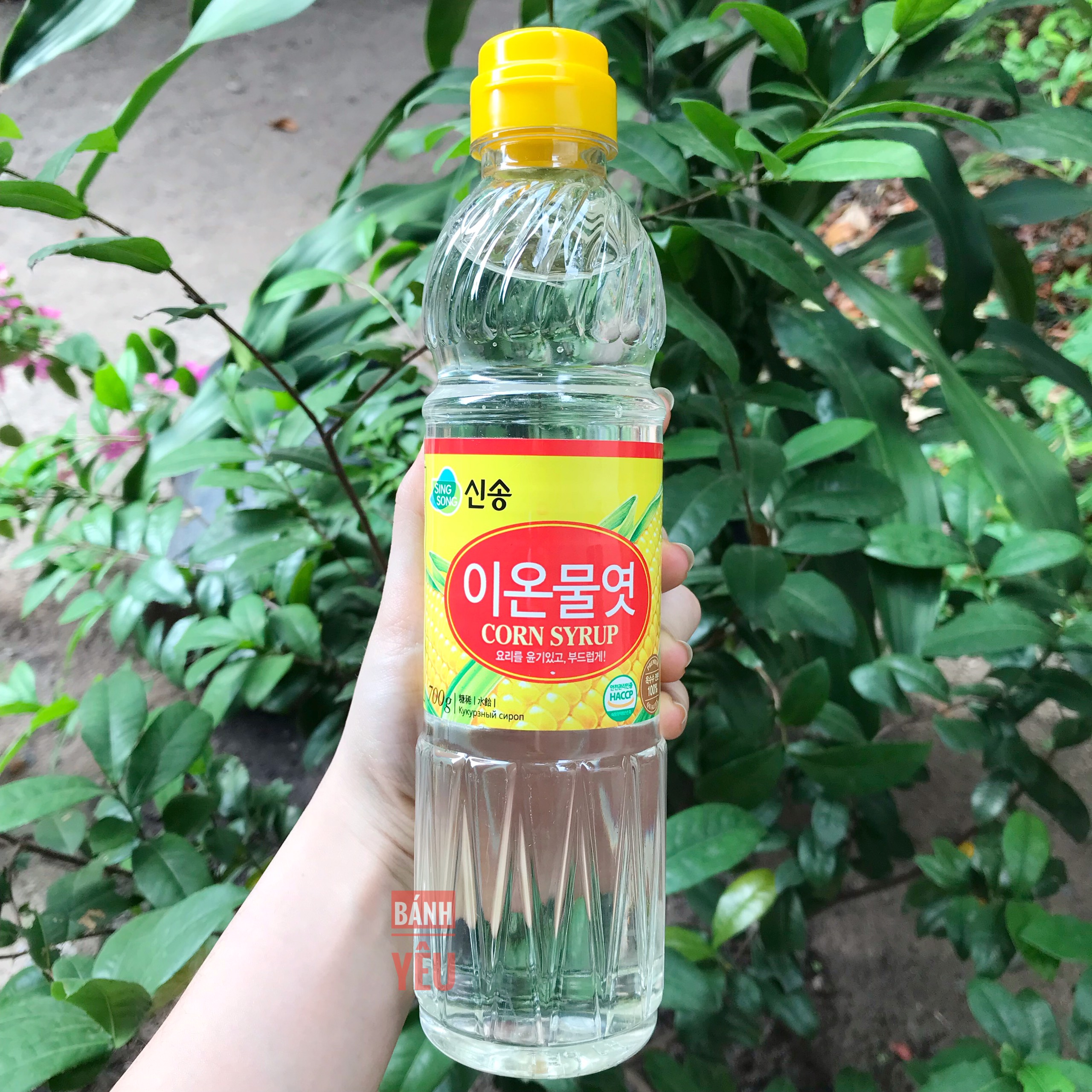 Siro bắp ngô Hàn Quốc SingSong 700g - Corn Syrup 700g