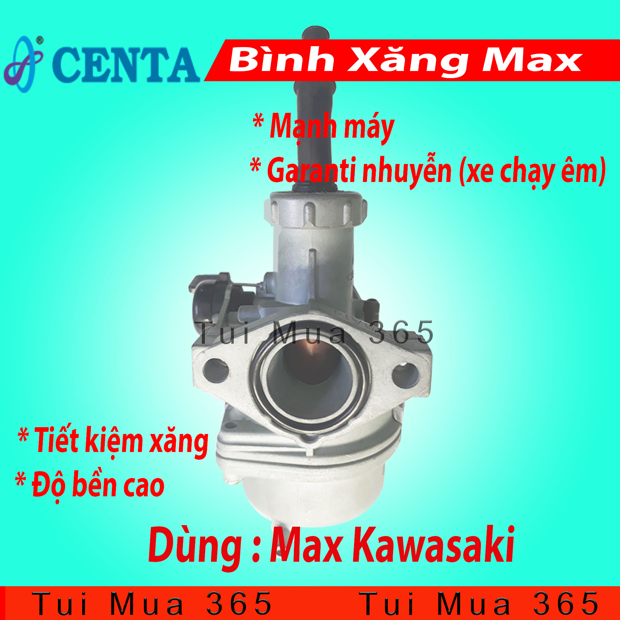 Bình xăng con Centa xe Max Kawasaki, Max Nhật