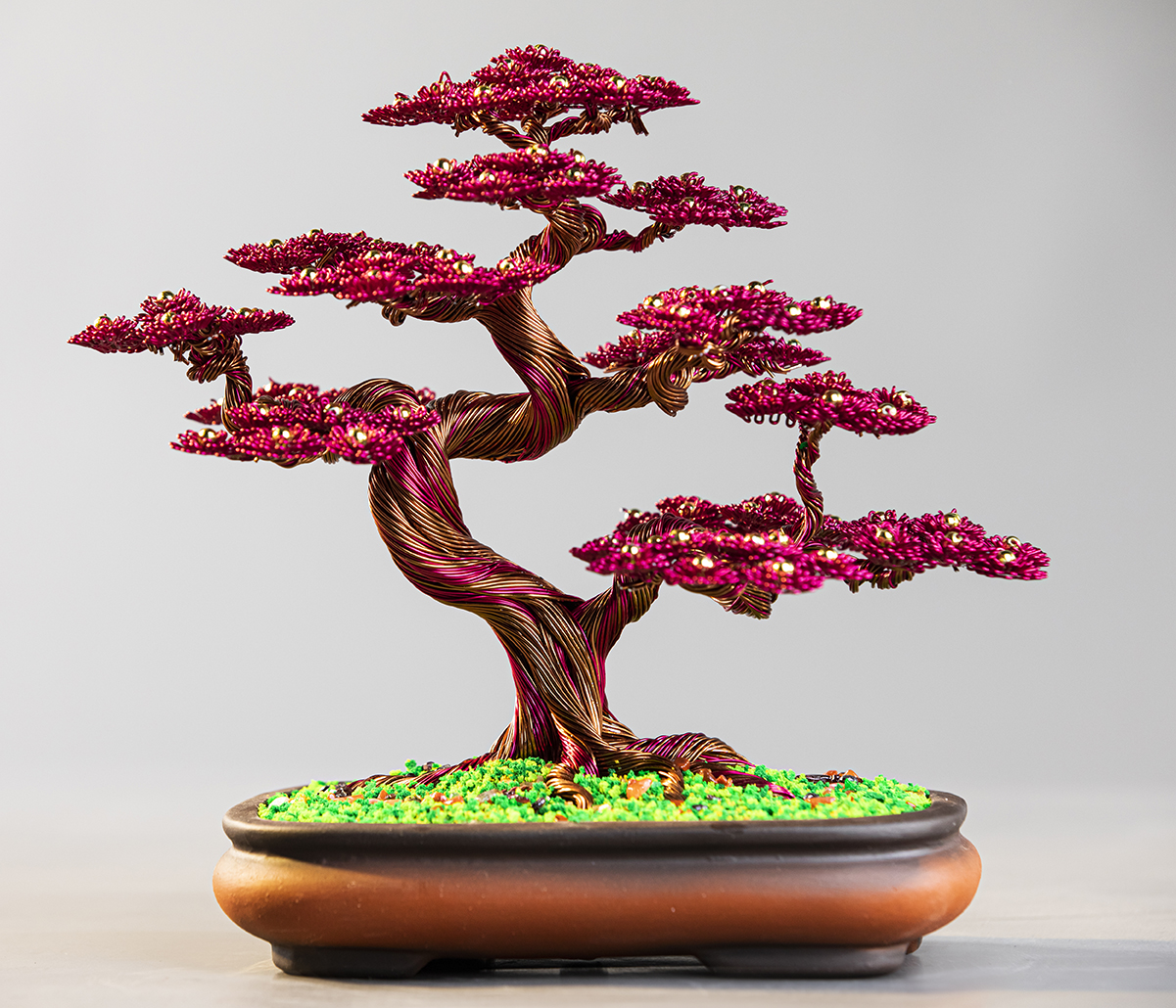 Cây tài lộc bonsai phong thủy (5 màu phong thủy)