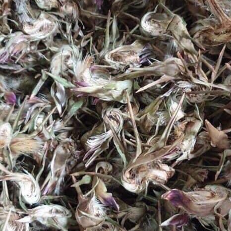 1kg HOA ATISO SAPA