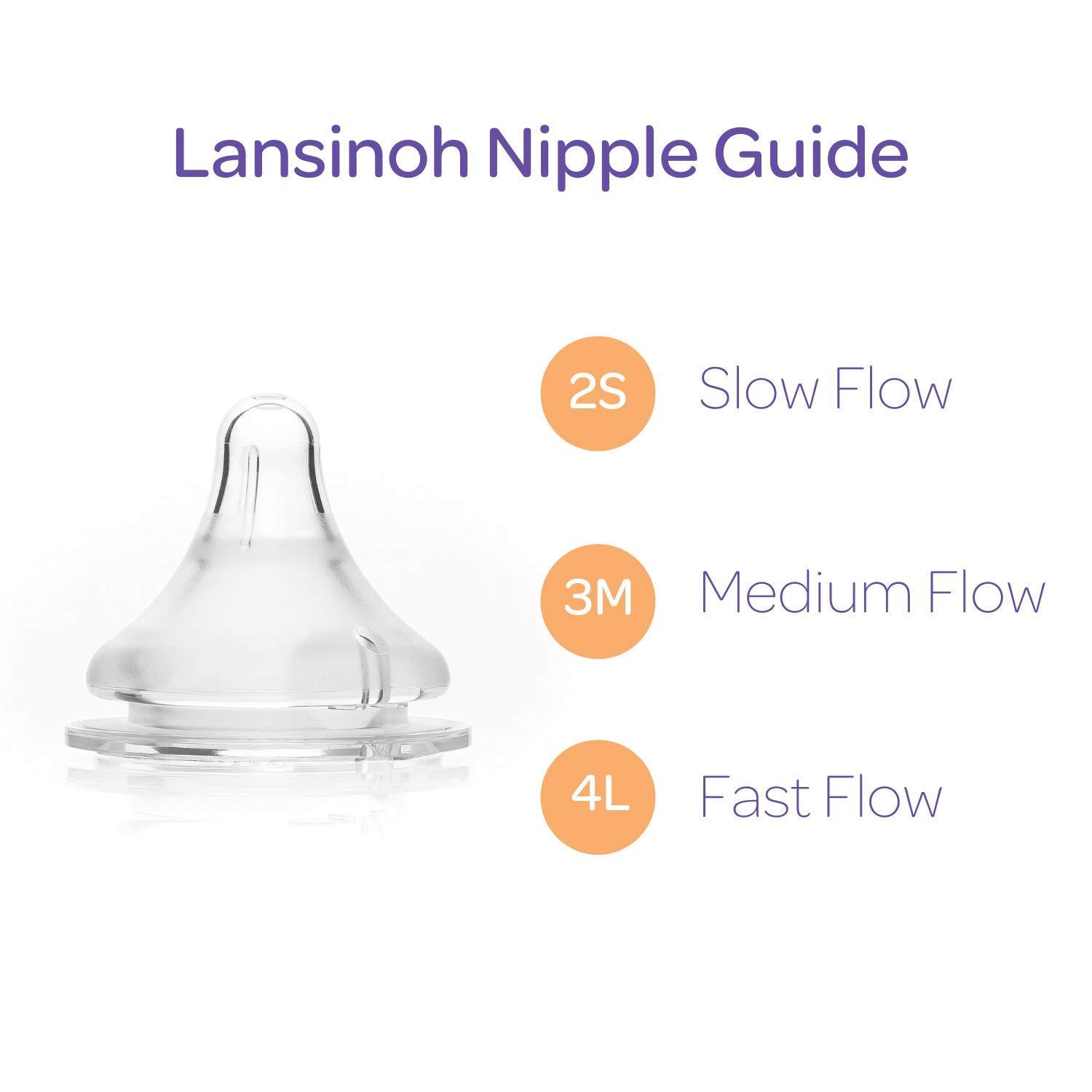 [Chính hãng] Núm Ti Lansinoh Momma Size M Từ 3-6 Tháng (Lẻ 1 Cái)