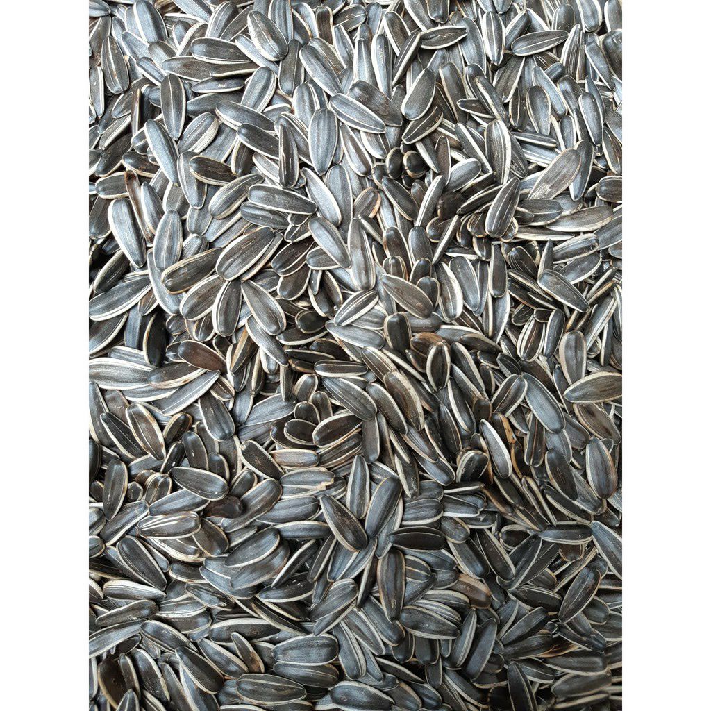 [HCM]Hạt hướng dương rang tay [ túi 100g ]