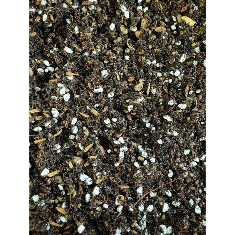 Đất trồng sen đá trộn sẵn (1kg) Đất chuyên dụng cho sen đá
