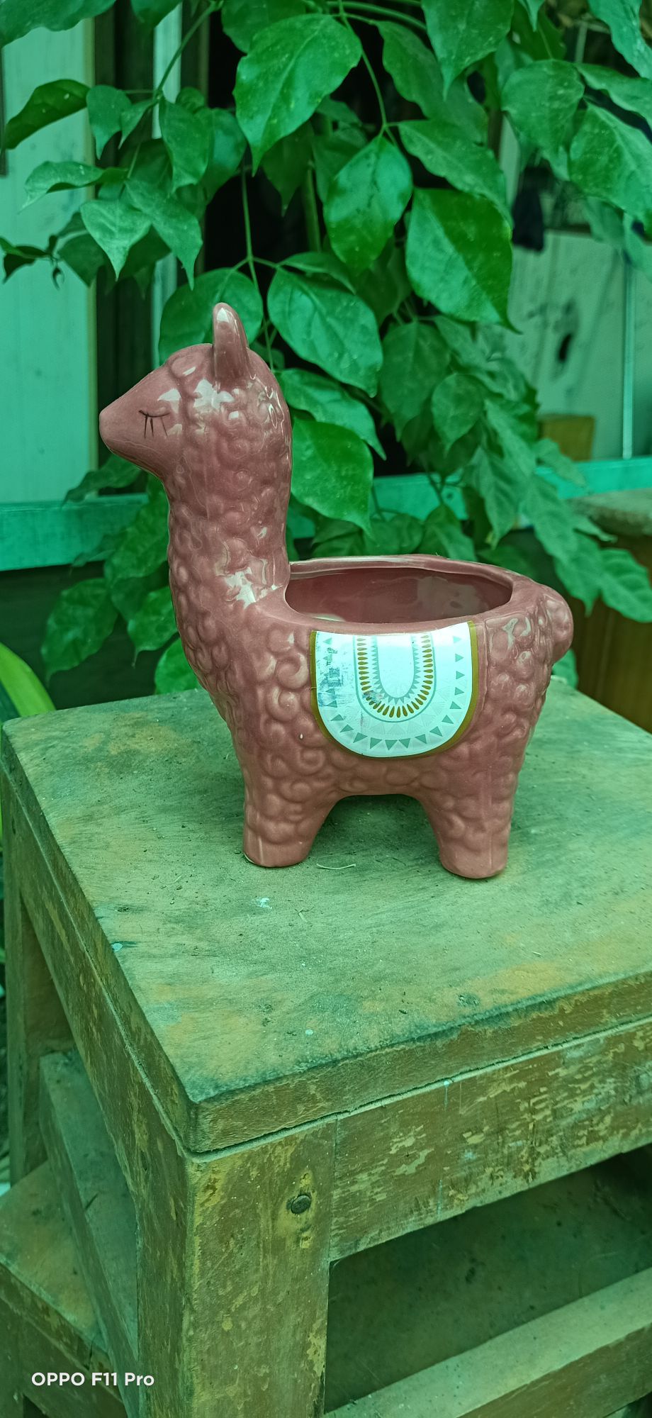 chậu gốm mini hình thú như hình