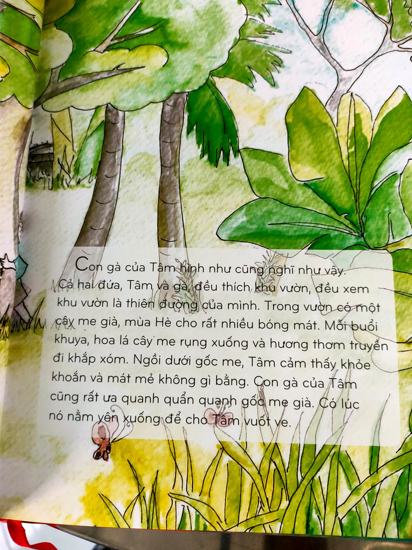 Sách - Con gà đẻ trứng vàng - Thiền sư Thích Nhất Hạnh