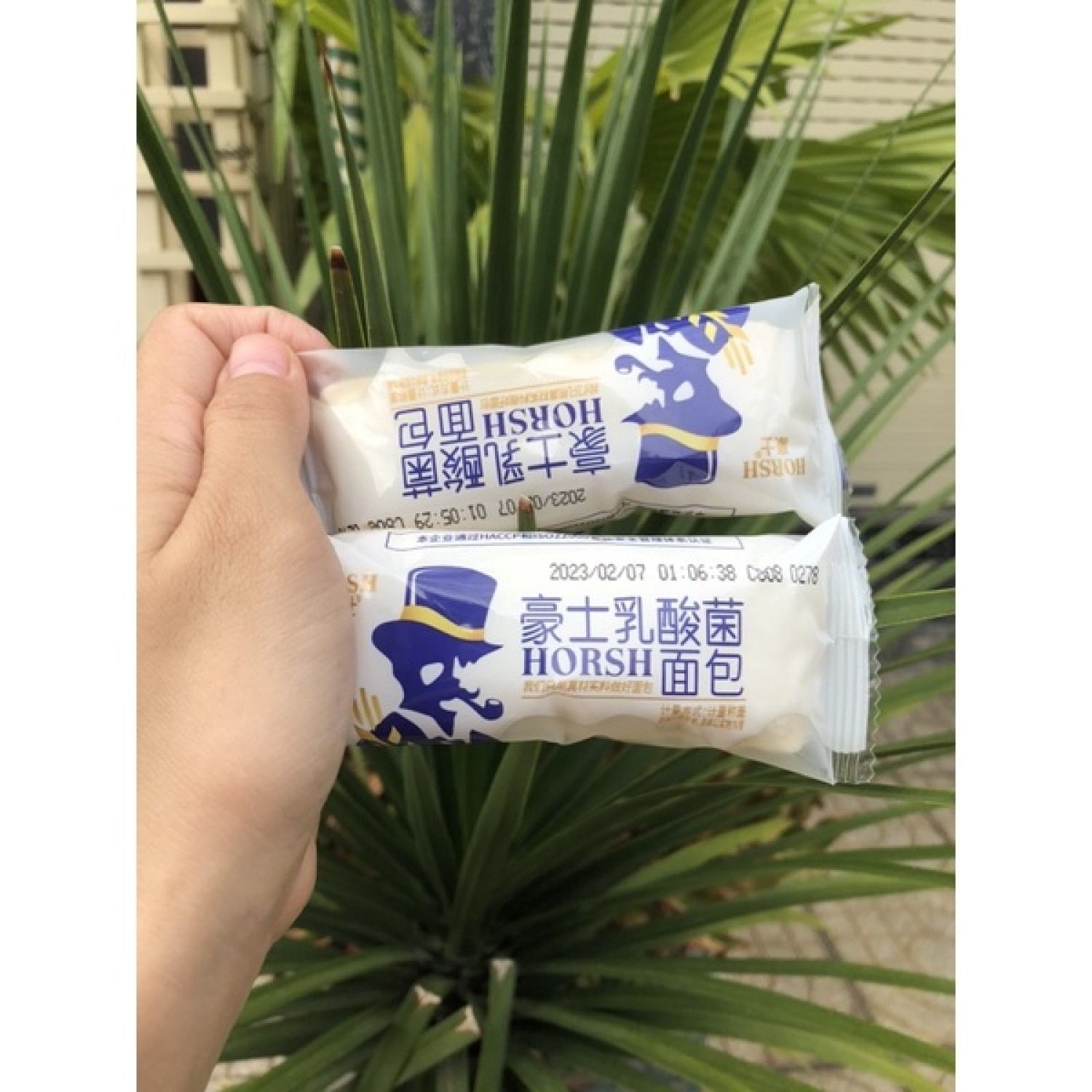 Combo 1kg Bánh Sữa Chua Horsh ĐL Date Mới