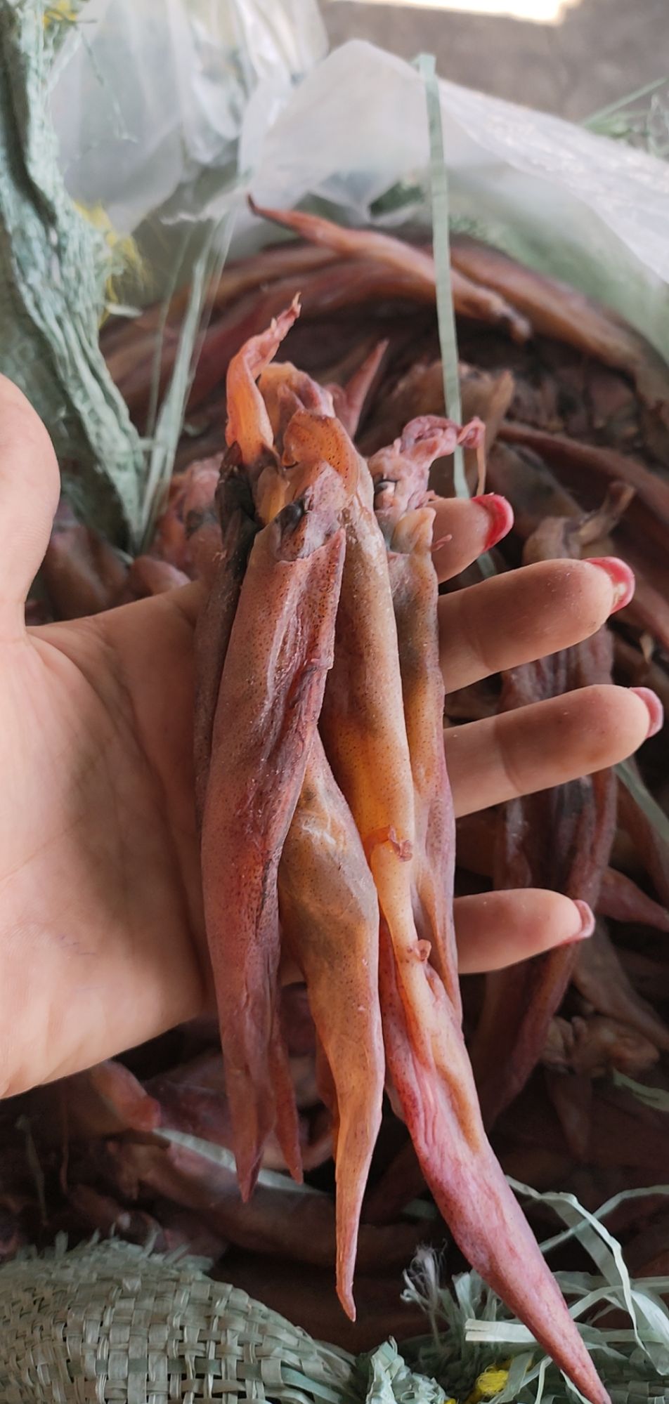 Mực muối lạt 1kg