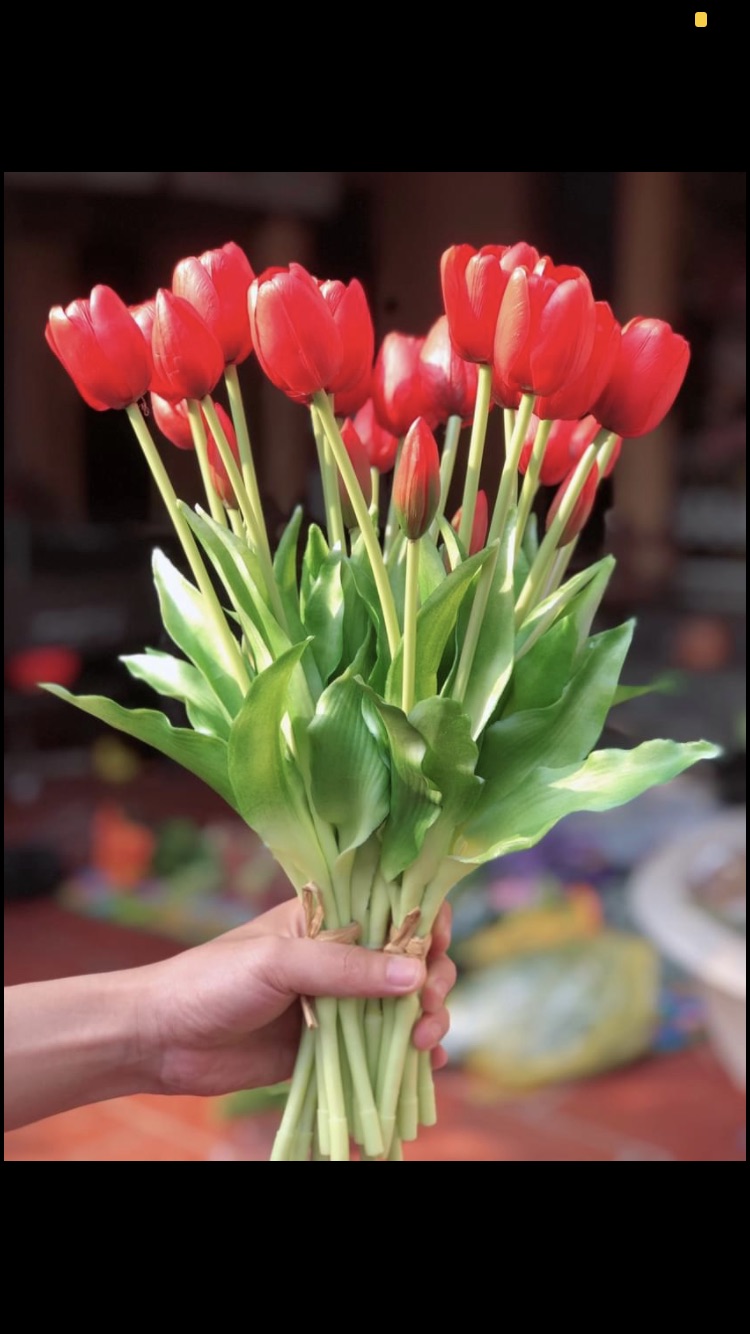 Bó hoa tulip cao cấp 3 bông 2 nụ