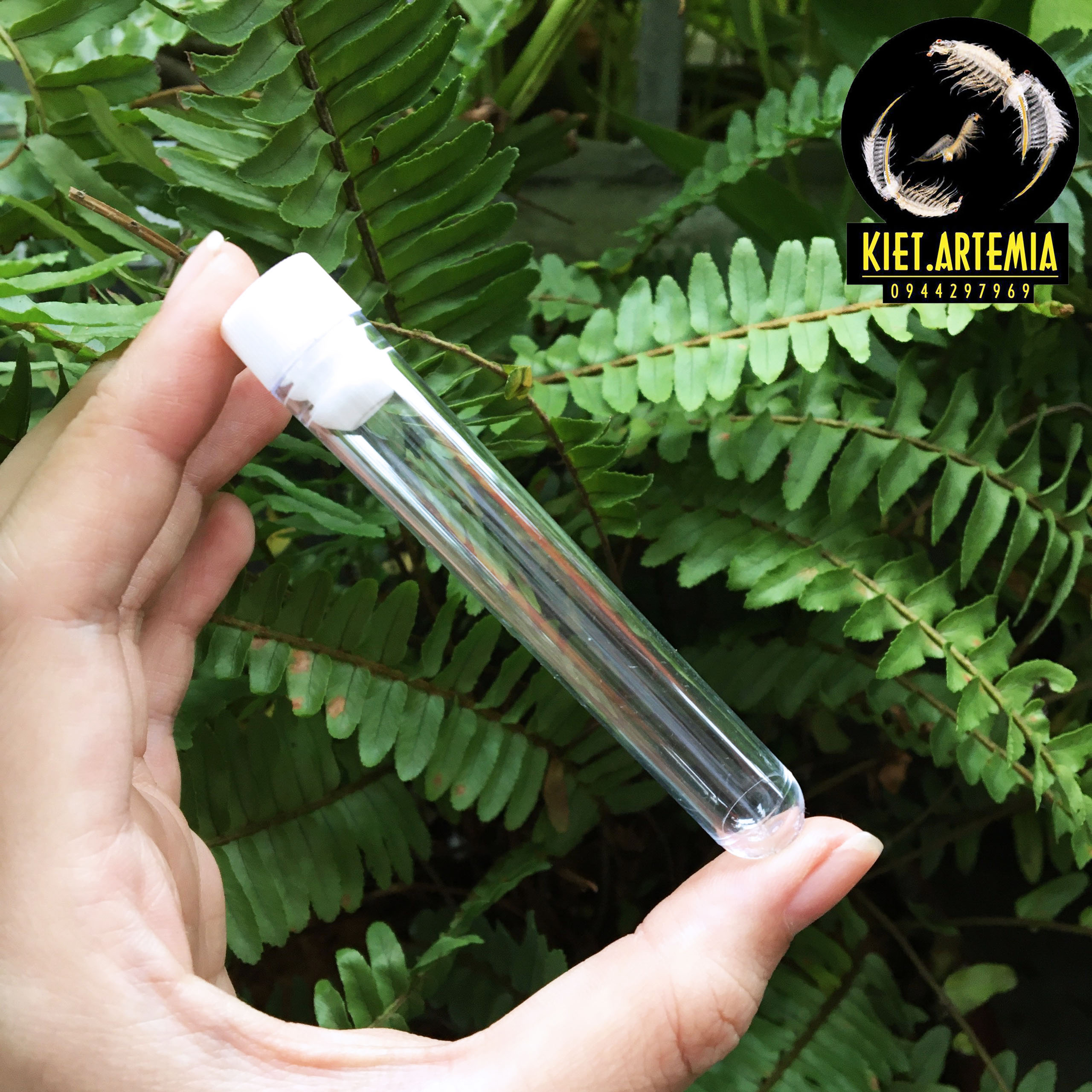 Bộ Ấp Artemia- Dụng Cụ Ấp Artemia