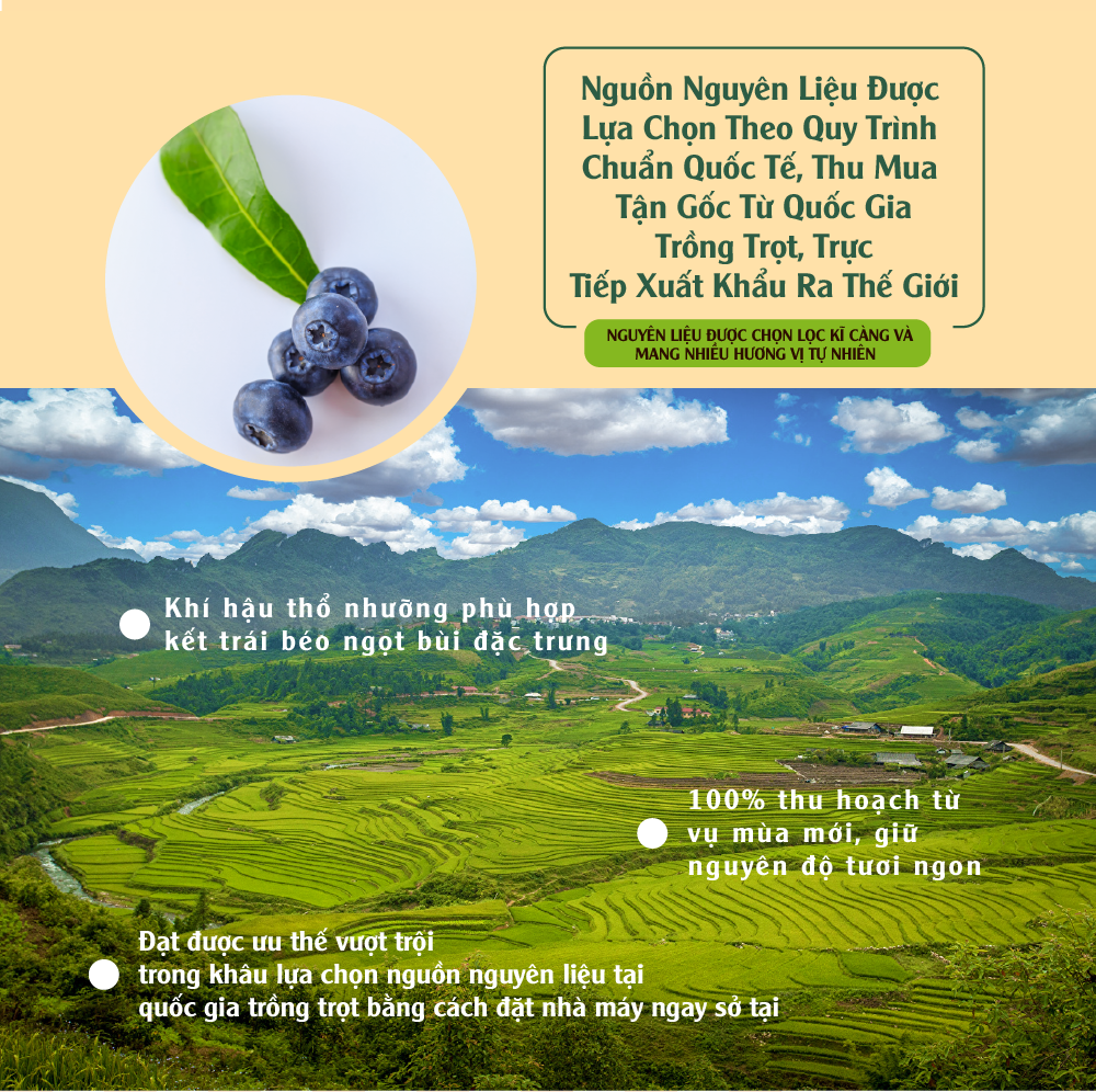 Combo Ưu Đãi - Việt Quất Khô Dan D Pak I Dried Blueberries I 100g