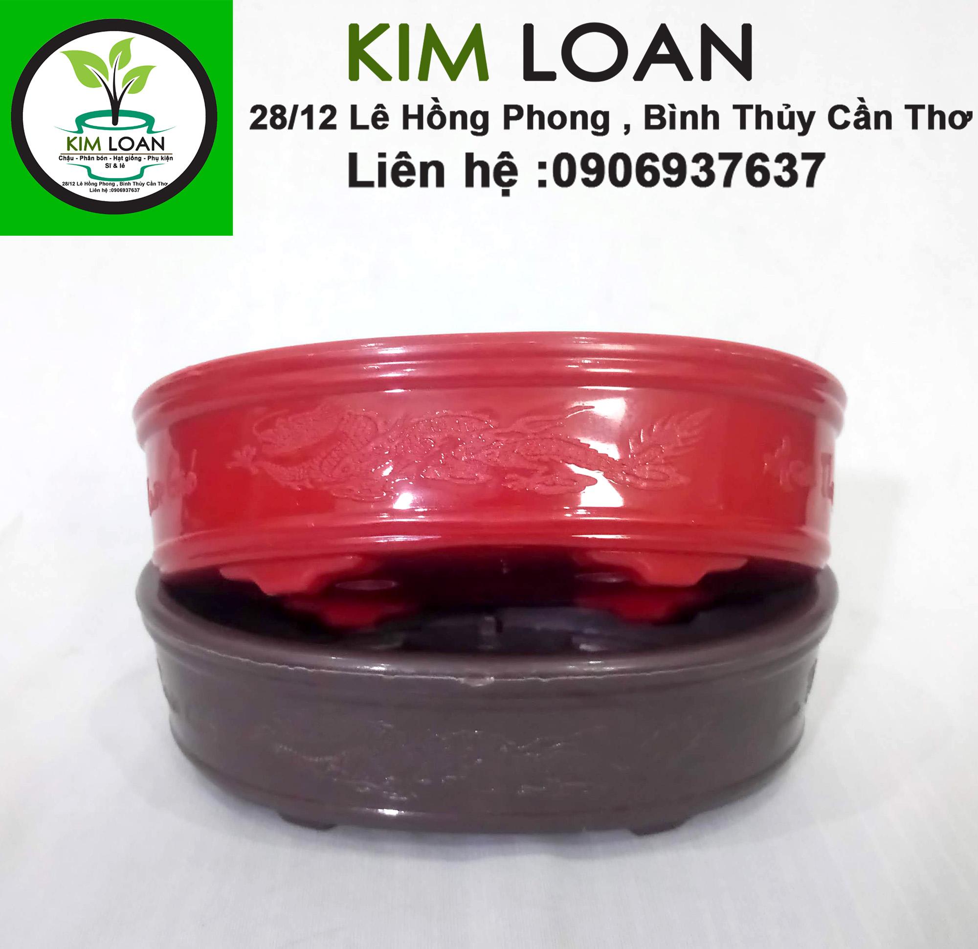 Chậu nhựa bonsai ovan mini 16x12x5cm