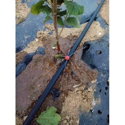 Ống Nhựa LDPE 16-20mm Tưới Cây Cuộn 200m