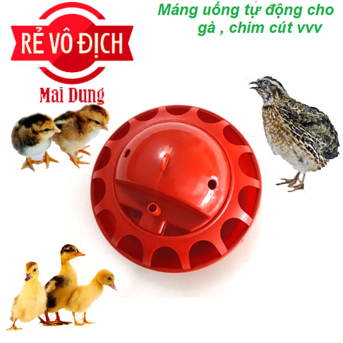 máng uống cho chim cút - gà - vịt - mới nở