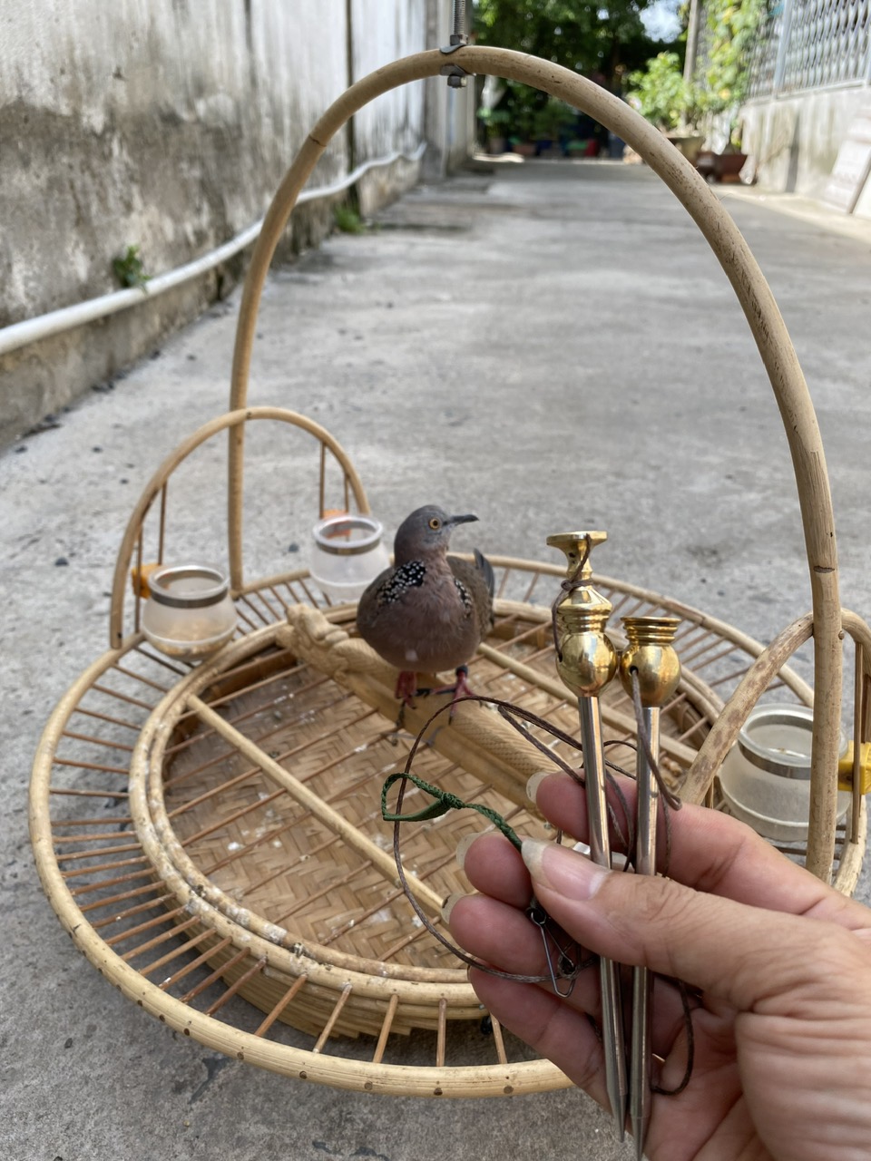 LỒNG TRẦN NUÔI CHIM