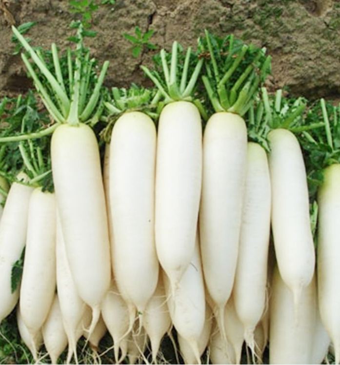 White Radish Seeds (Sugar Beet) - 20Gram Pack