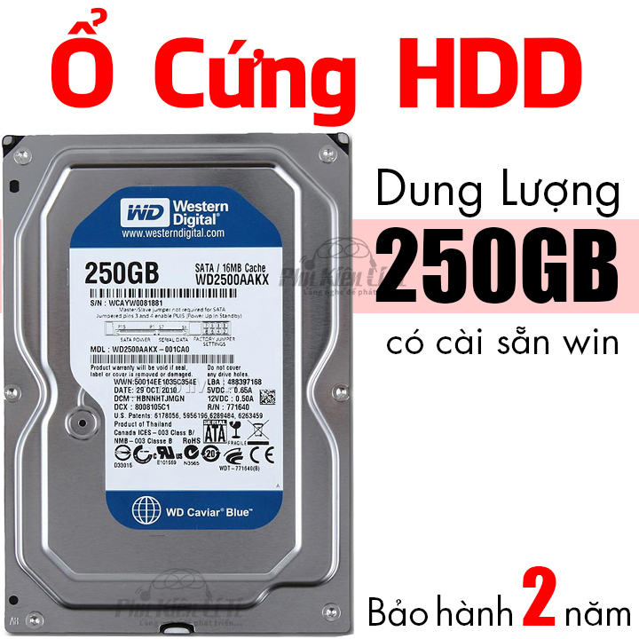 [HCM]Ổ cứng HDD máy tính bàn WD 250GB Cài sẵn hệ điều hành Bảo Hành 2 Năm