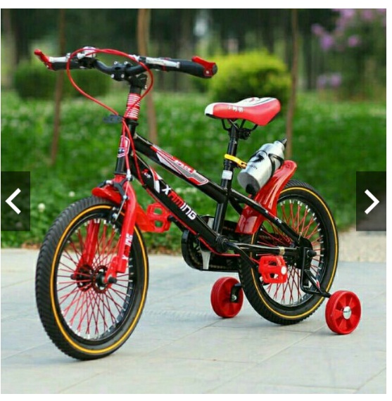 XE ĐẠP XAMING 18- 20 INH