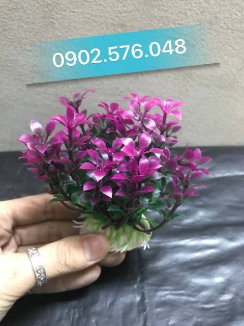 [HCM]Cây nhựa trang trí hồ cá nhỏ