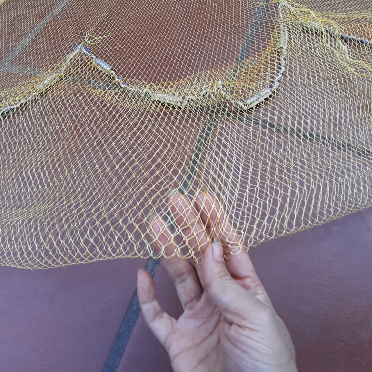 chài dù thái 1,8cm cao 2,7m