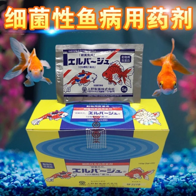 COMBO 10 GÓI TETRA NHẬT