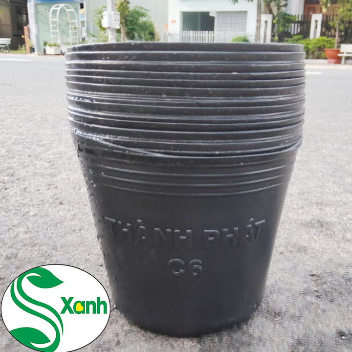 50 Chậu Nhựa Đen Trồng Cây C6