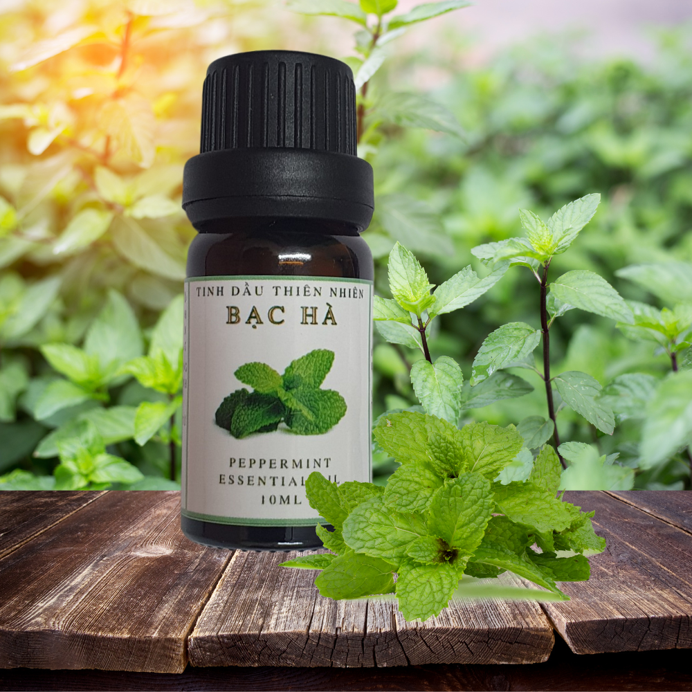 tinh dầu bạc hà Liên Hương