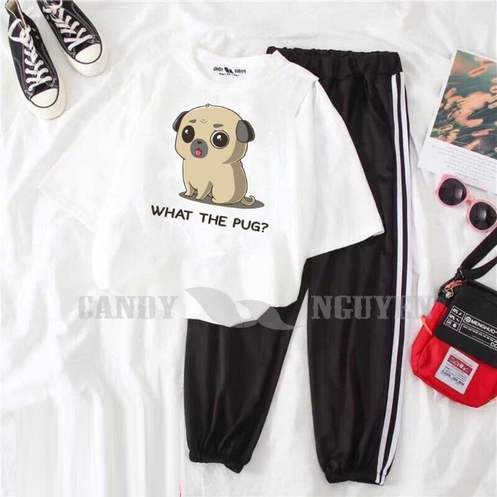 Sét Quần Áo Nữ Thời Trang Xinh Cute Mặc Đi Chơi Dạo Phố, Chất Liệu Áo Cotton Organic Ngắn Tay Cổ Tròn In Cậu Bé Kèm Quần Thun Bo Chun Gấu