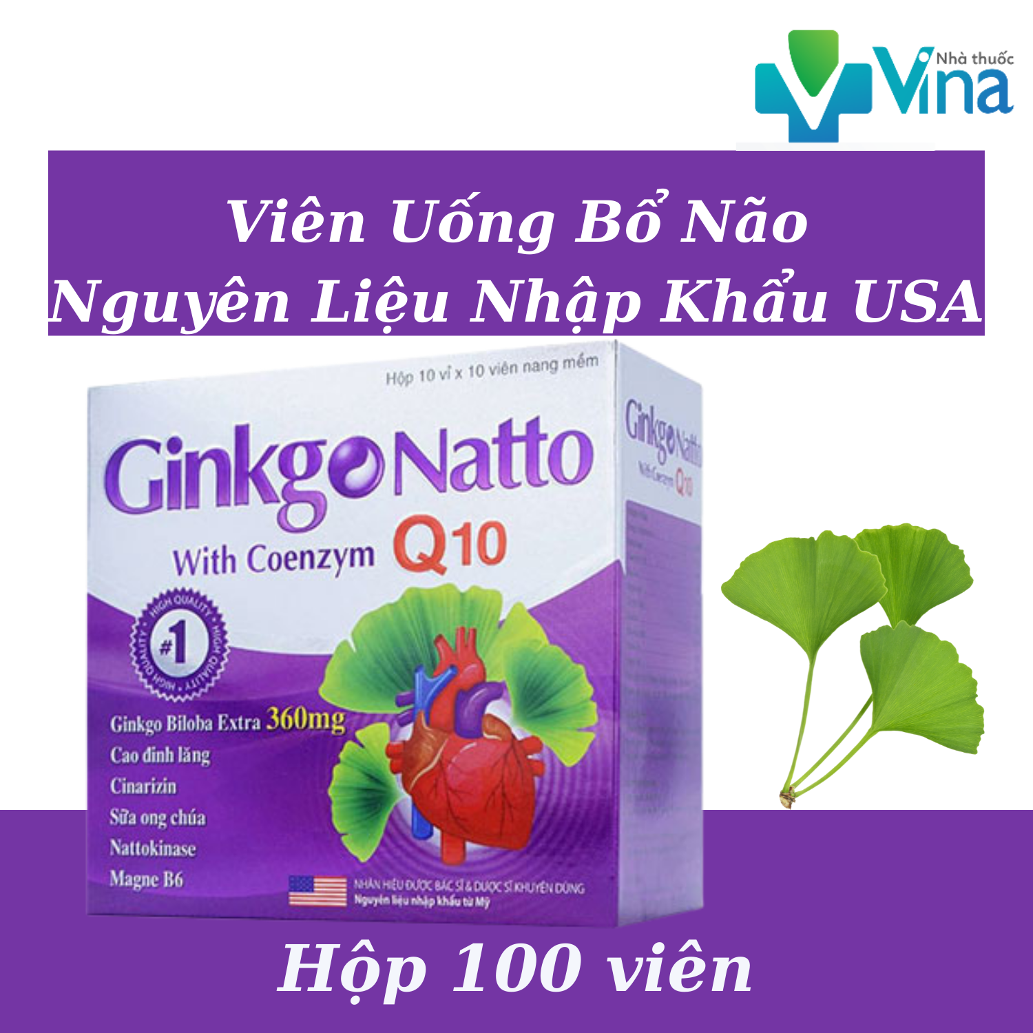 Ginkgo Natto Q10 Coenzym Biloba, Hoạt Huyết Dưỡng Não, Tăng Lưu Thông Máu