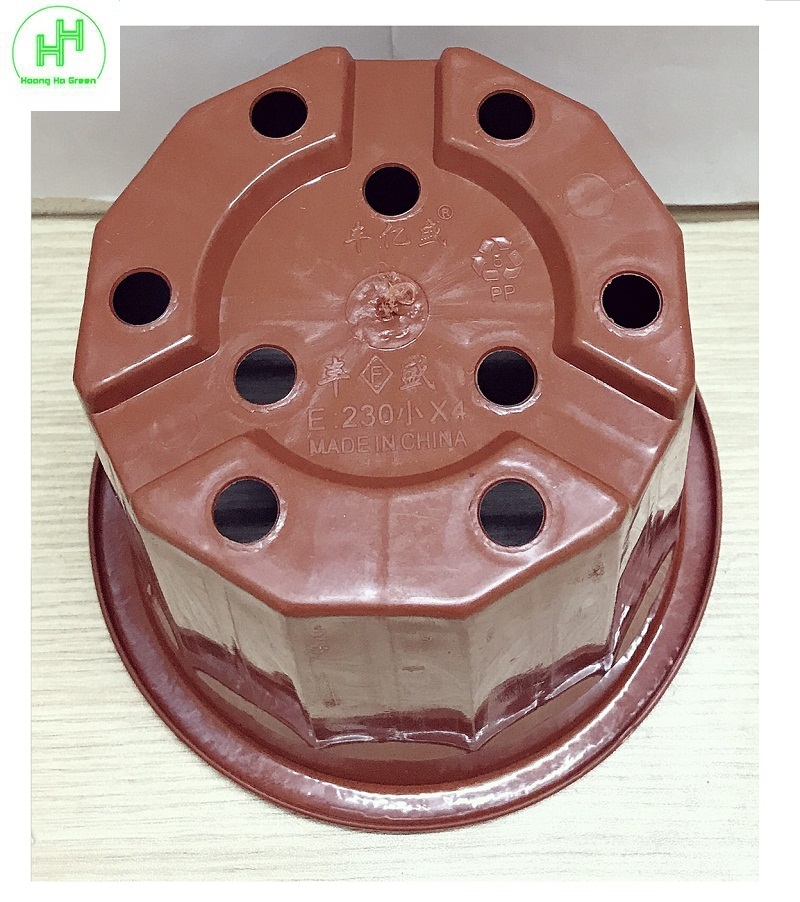 5 Chậu Nhựa Trồng Hoa, Cây Cảnh E230 CN