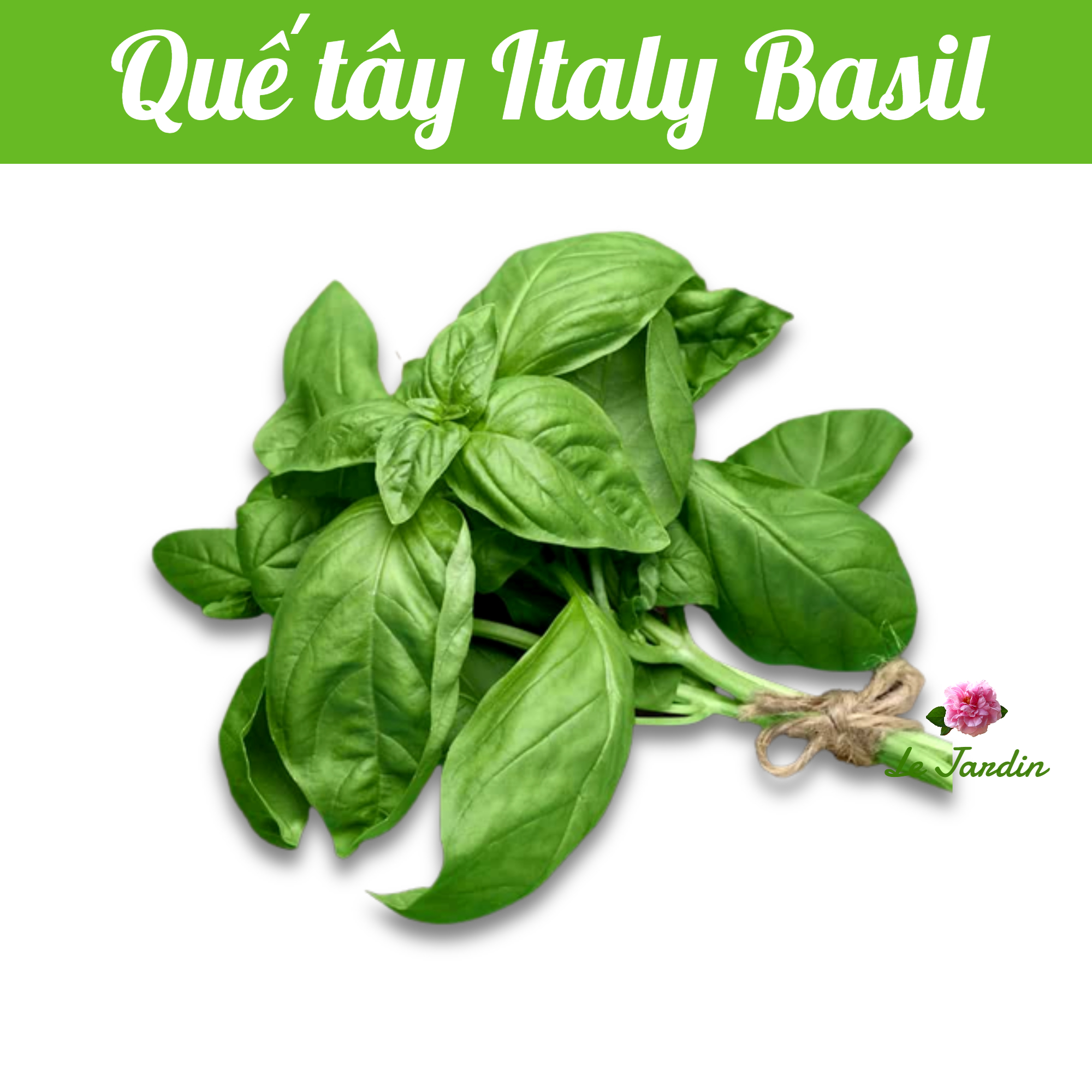 Basil Seeds 2gr package